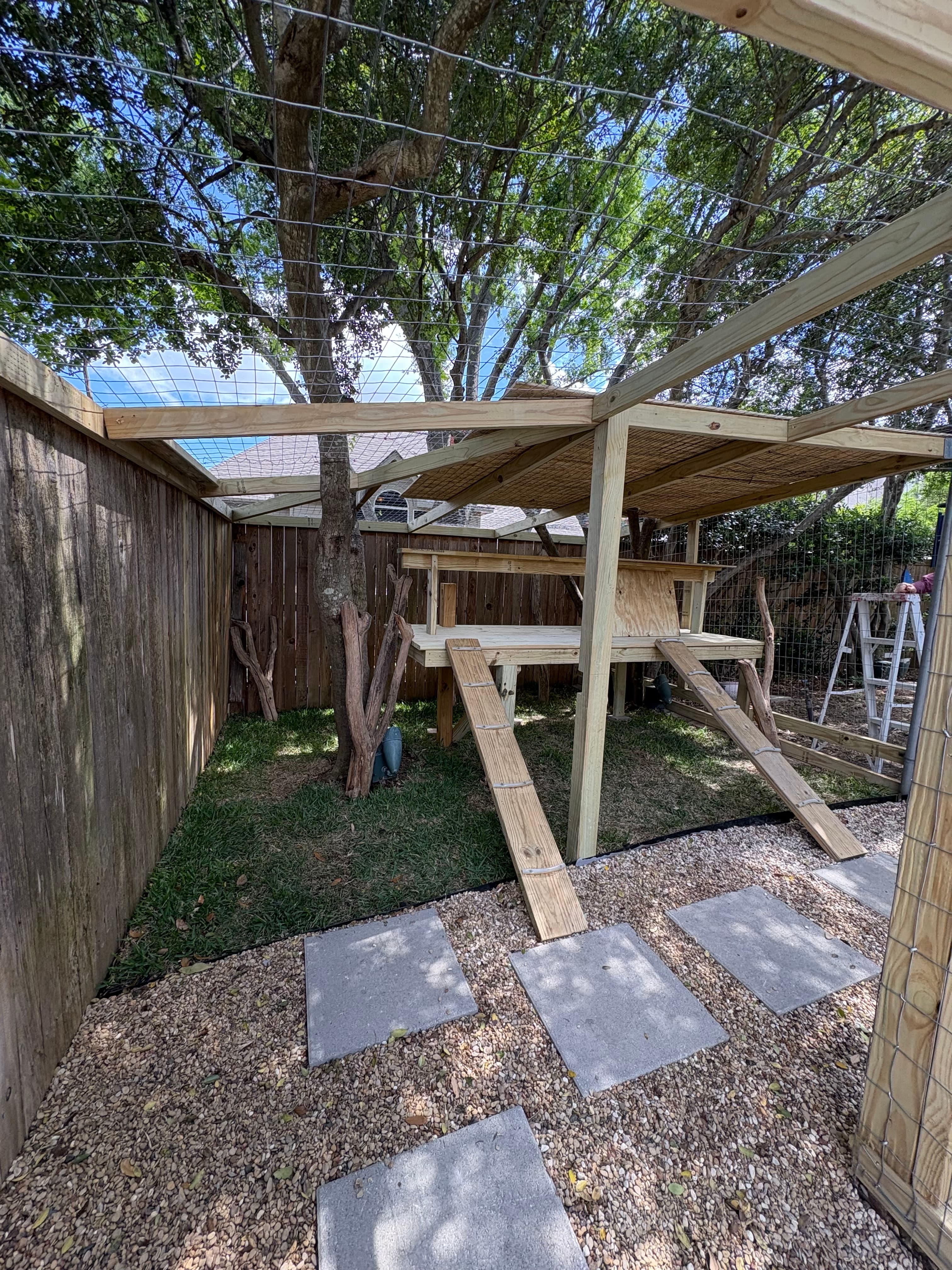 After photo of completed McKinney cat enclosure play area.