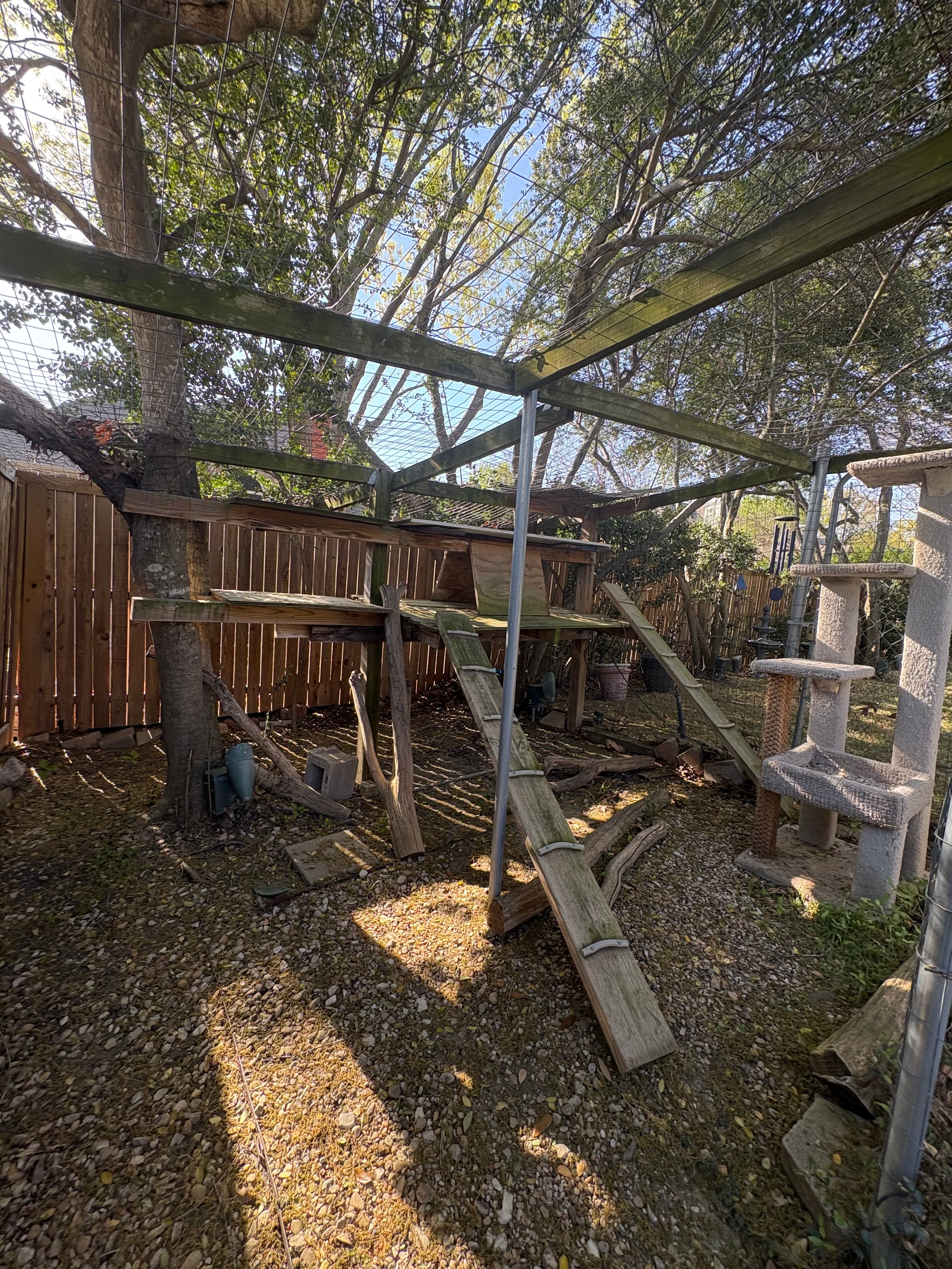 Before photo of McKinney backyard before cat enclosure build.